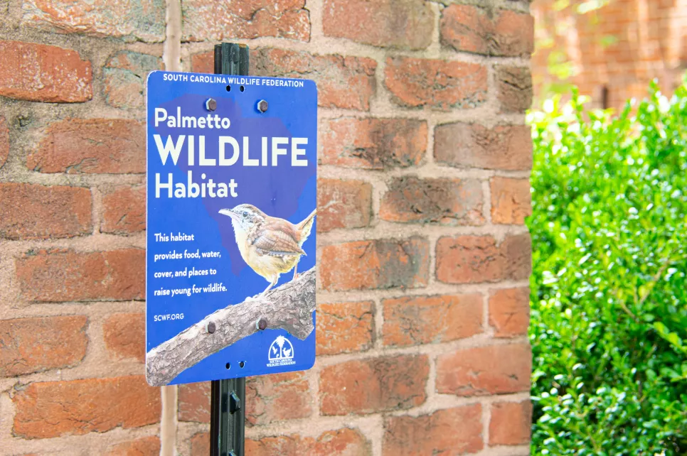 Palmetto Wildlife Habitat