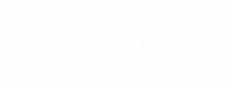 Stern Development company logo